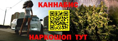 тгк Будённовск