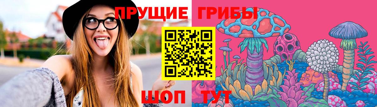 Псилоцибиновые грибы Psilocybe  Псилоцибиновые грибы GOLDEN TEACHER  Вход с VPN  Рославль 