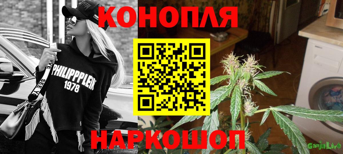 Бошки Шишки индика Рославль